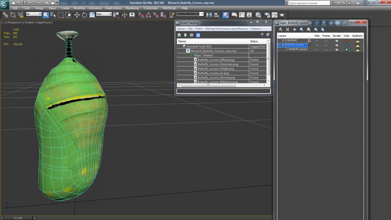 Monarch Butterfly Cocoon 3D model