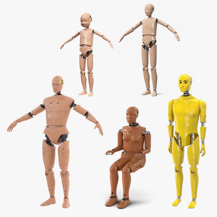 3D Crash Test Dummies Collection 5