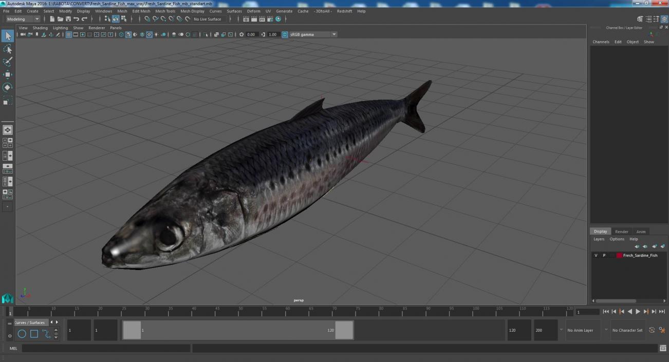 3D Fresh Sardine Fish model