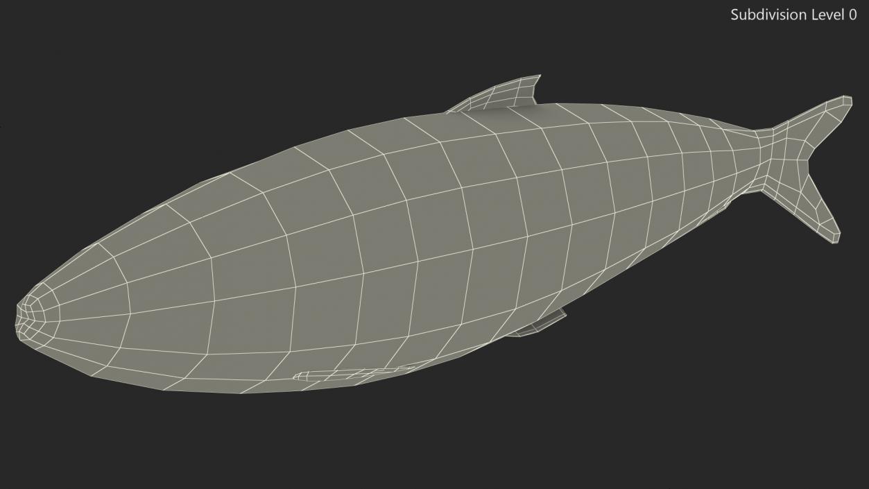 3D Fresh Sardine Fish model