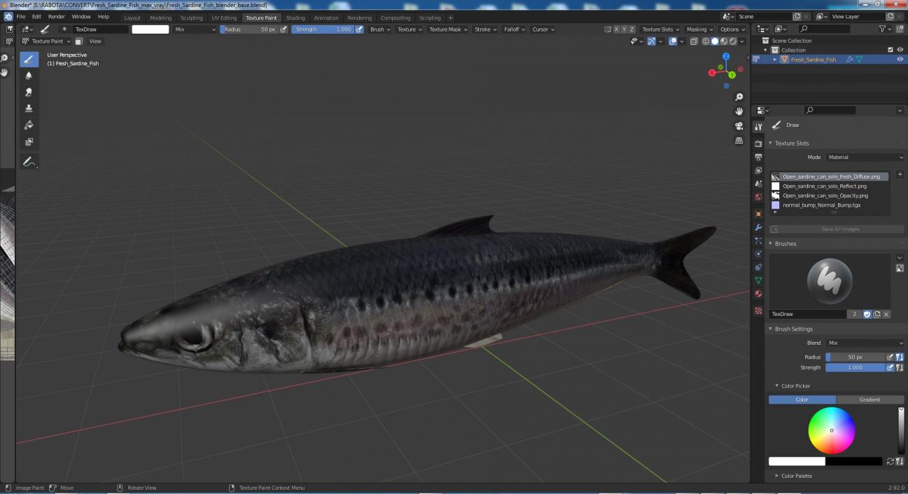 3D Fresh Sardine Fish model