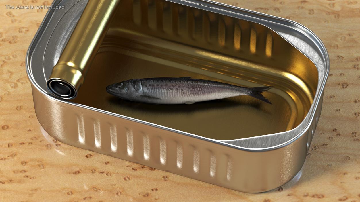 3D Fresh Sardine Fish model