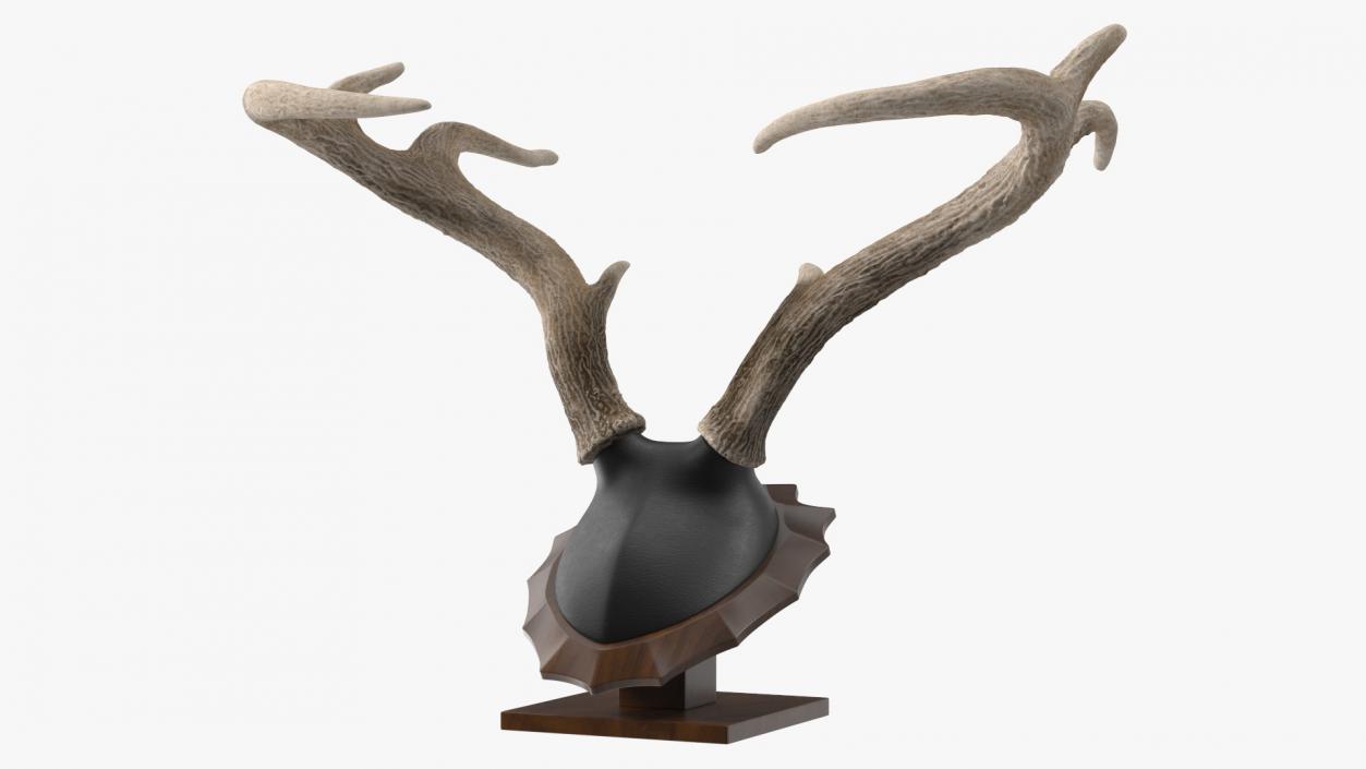 Tabletop Stand with Stag Antlers 3D