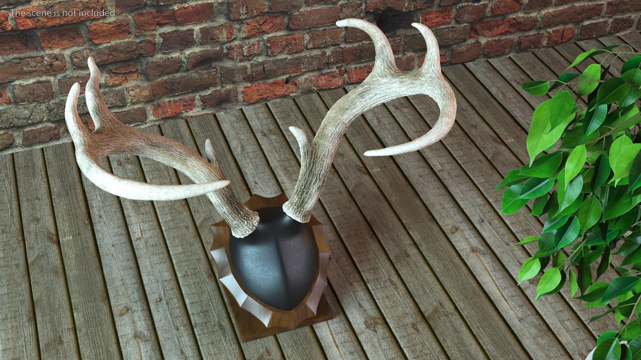 Tabletop Stand with Stag Antlers 3D