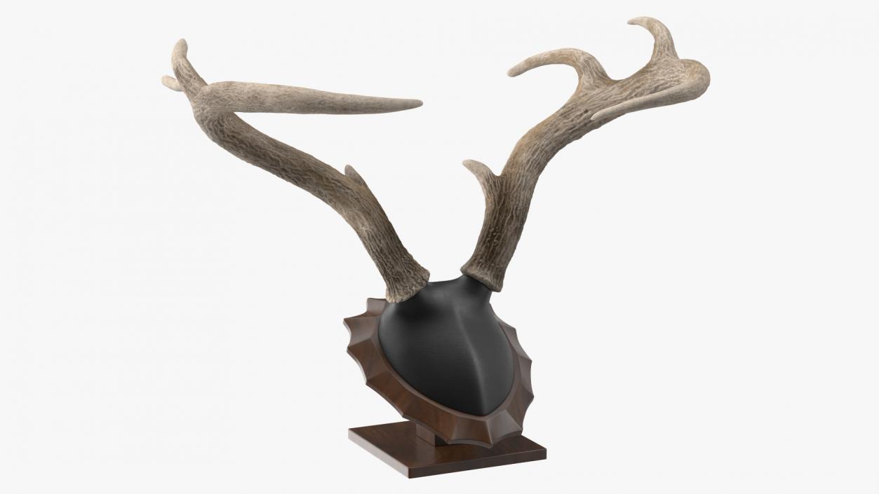 Tabletop Stand with Stag Antlers 3D