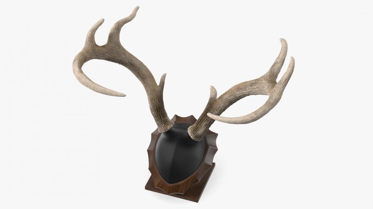 Tabletop Stand with Stag Antlers 3D