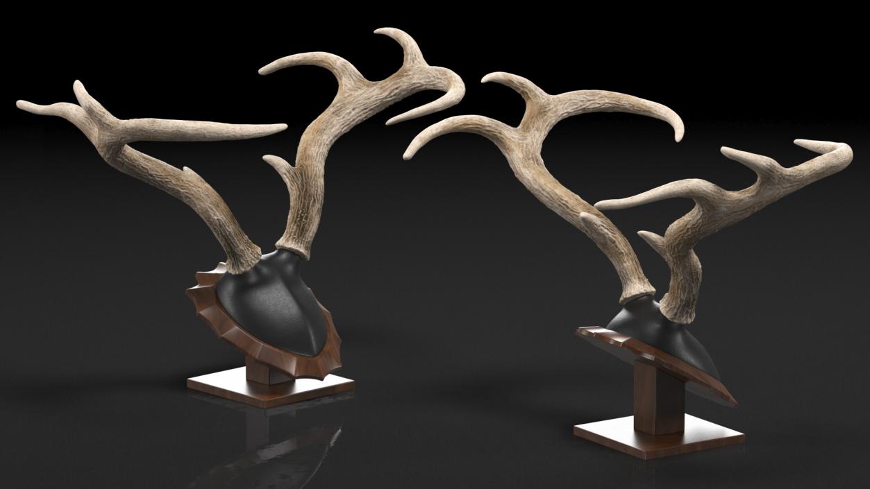 Tabletop Stand with Stag Antlers 3D