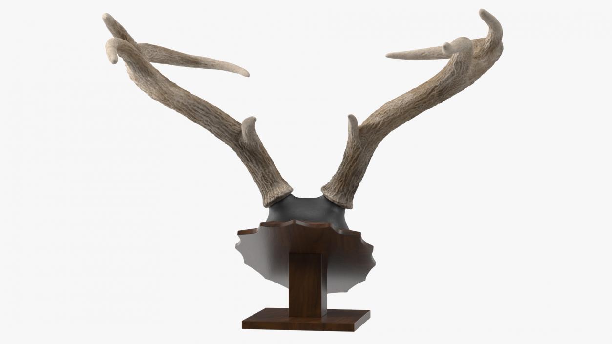 Tabletop Stand with Stag Antlers 3D