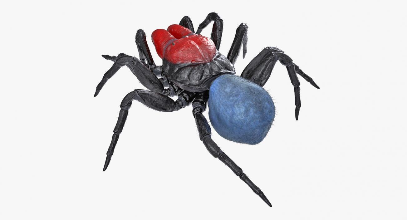 3D model Rigged Spiders 3D Models Collection