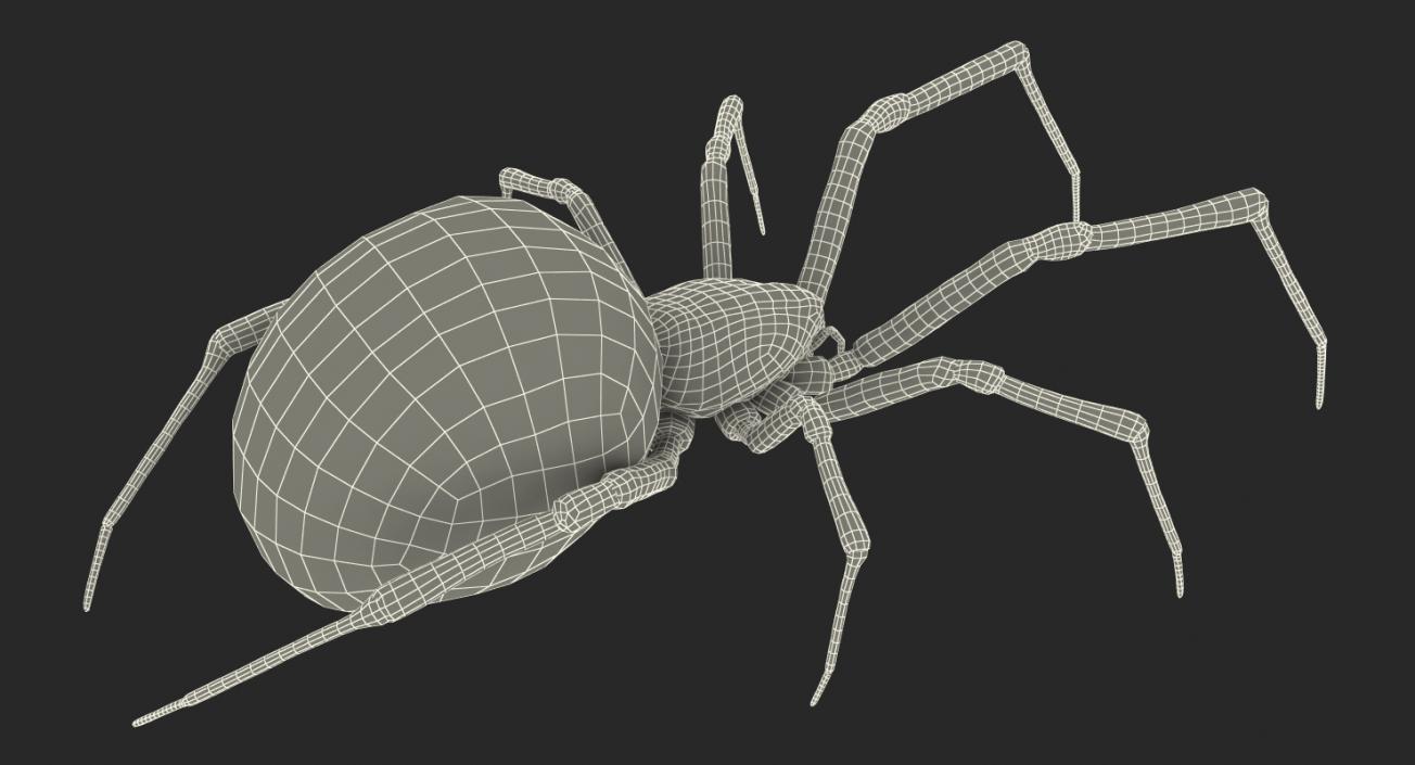 3D model Rigged Spiders 3D Models Collection