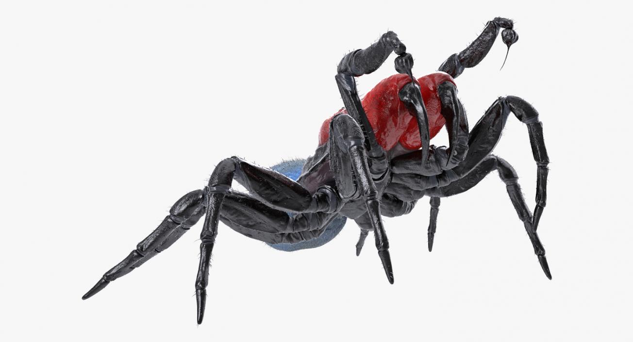 3D model Rigged Spiders 3D Models Collection