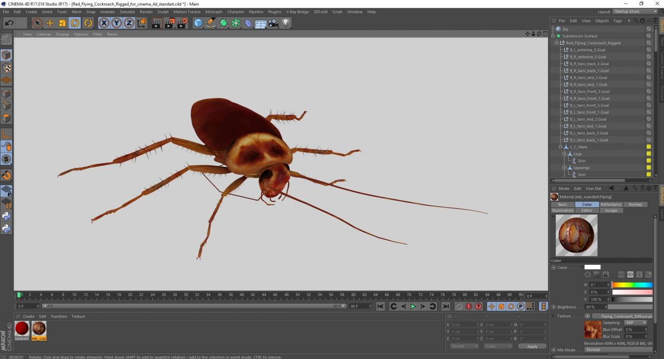 3D Red Flying Cockroach Rigged for Cinema 4D