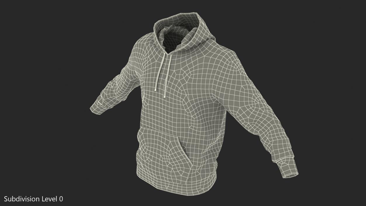 Grey Hoodie Nike Lowered Hood 3D model