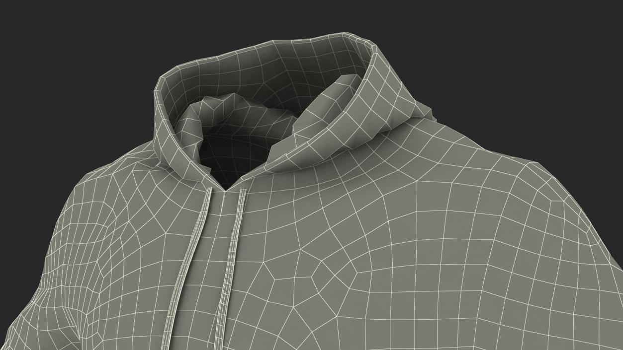 Grey Hoodie Nike Lowered Hood 3D model