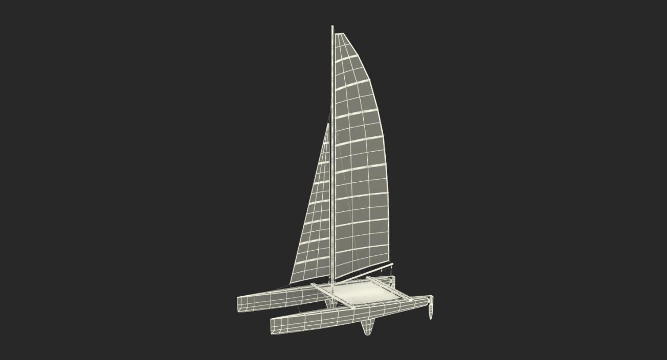 International A Class Catamaran Black 3D