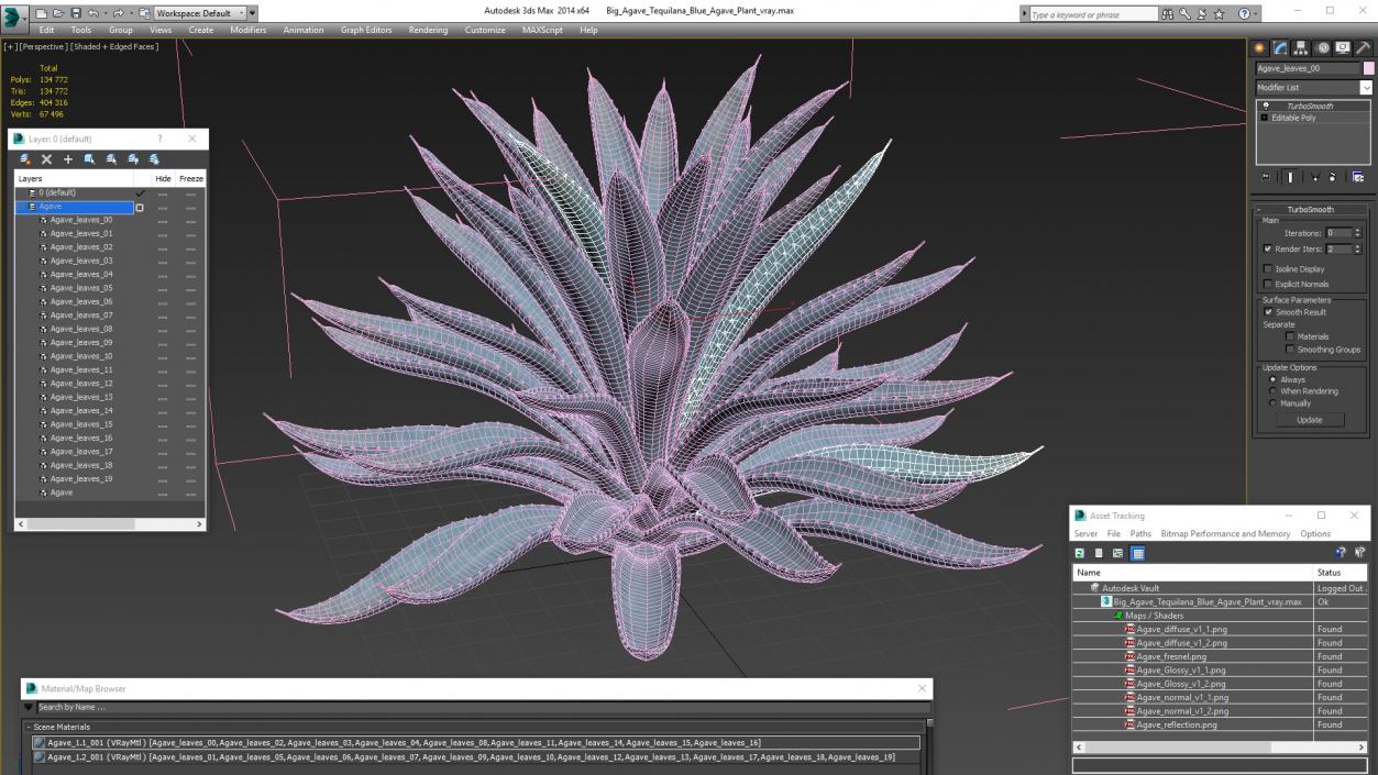 3D Big Agave Tequilana Blue Agave Plant