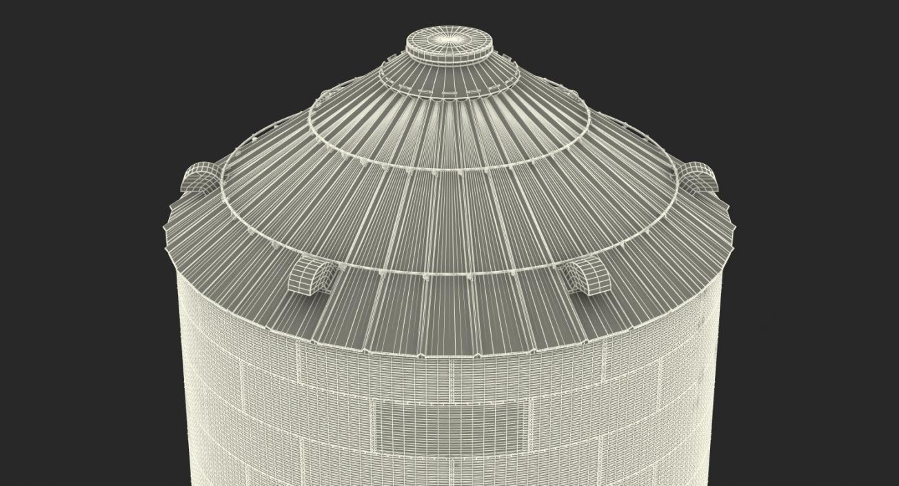 Grain Bin 3D model