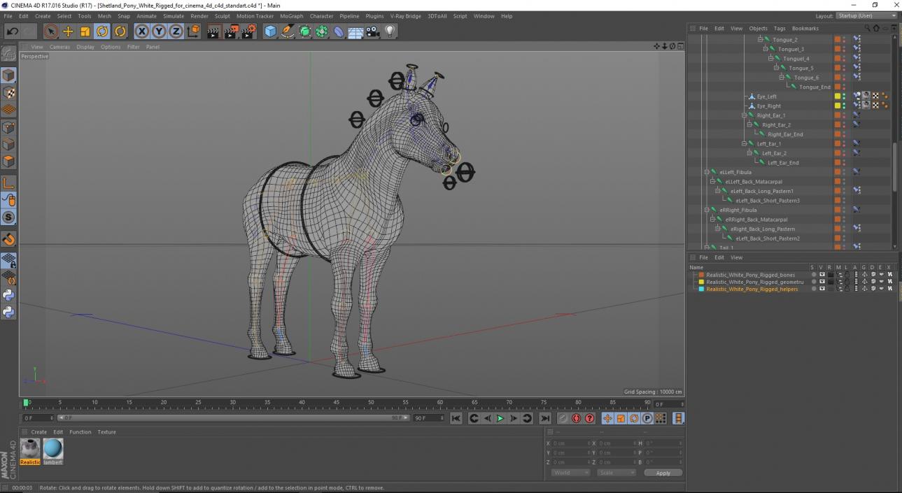 3D model Shetland Pony White Rigged for Cinema 4D