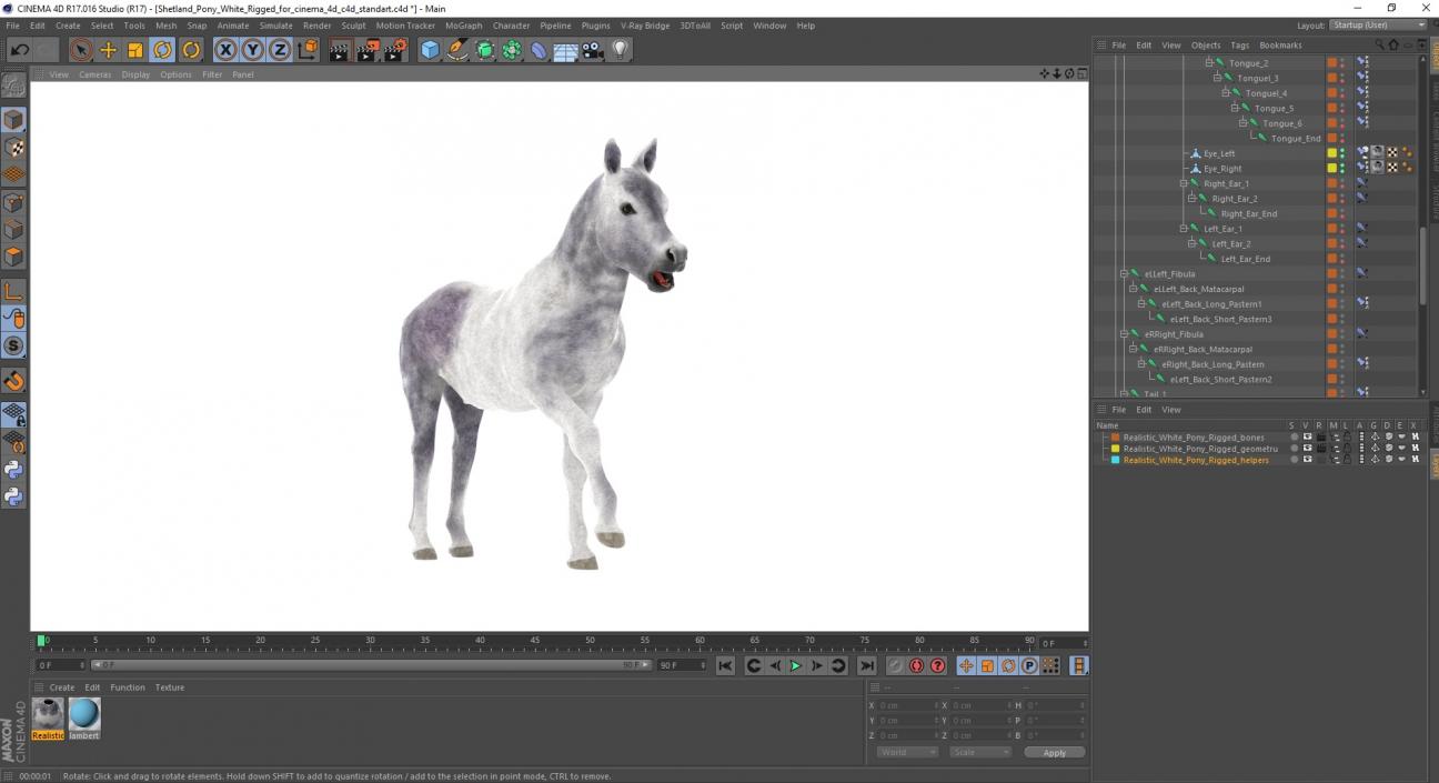 3D model Shetland Pony White Rigged for Cinema 4D