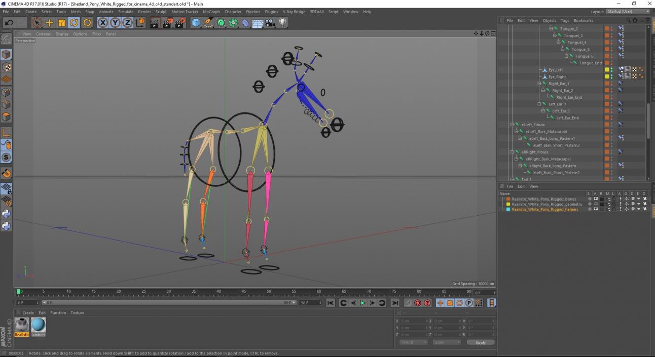 3D model Shetland Pony White Rigged for Cinema 4D