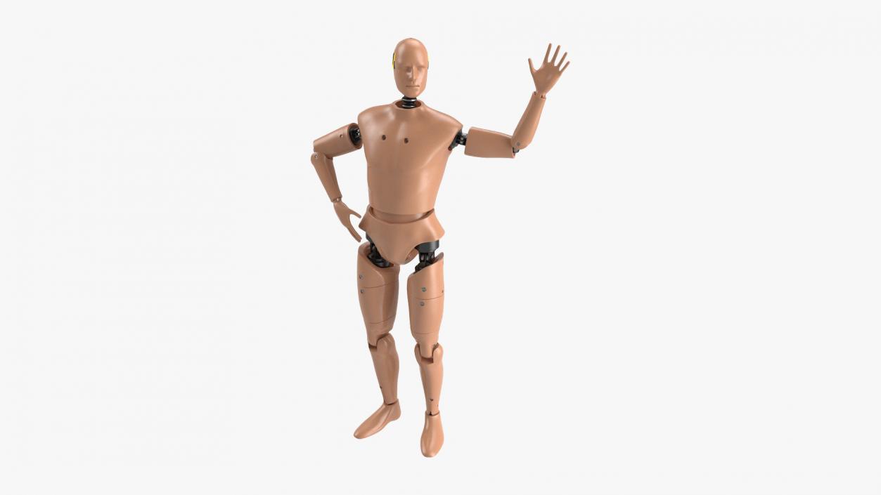 3D Humanoid Crash Test Dummy Rigged for Maya