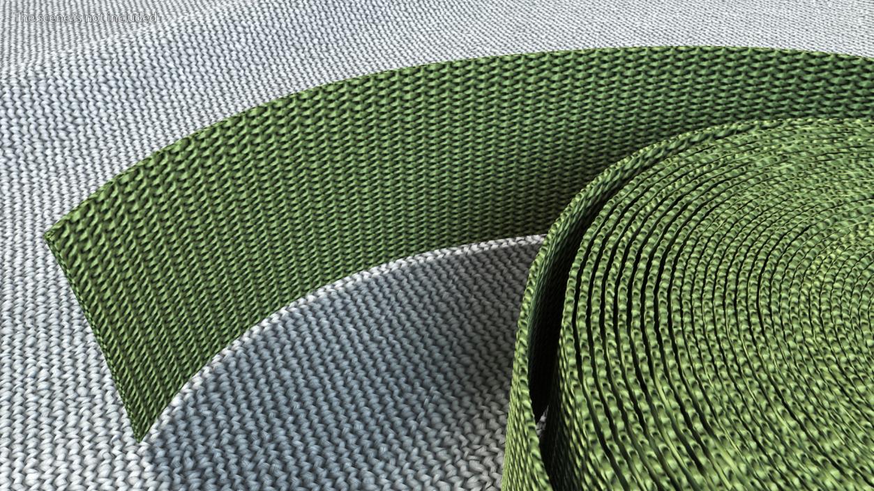 3D model Webbing Belt Strap Round Green