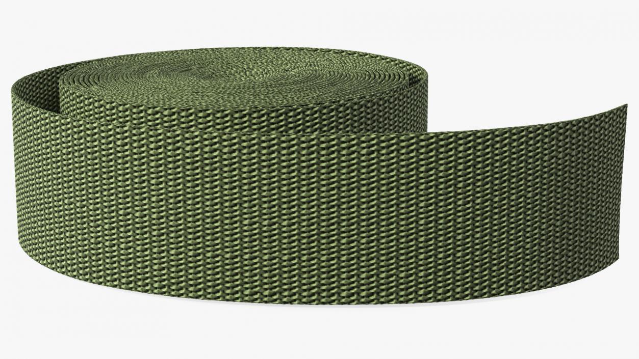 3D model Webbing Belt Strap Round Green