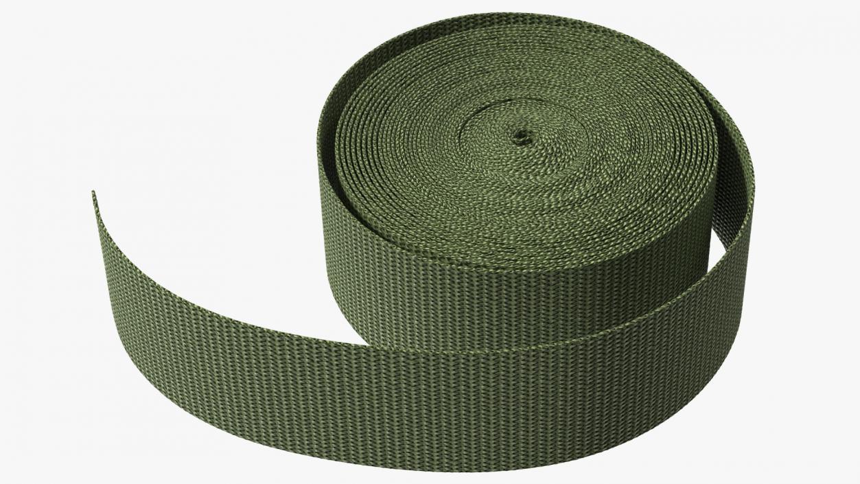 3D model Webbing Belt Strap Round Green