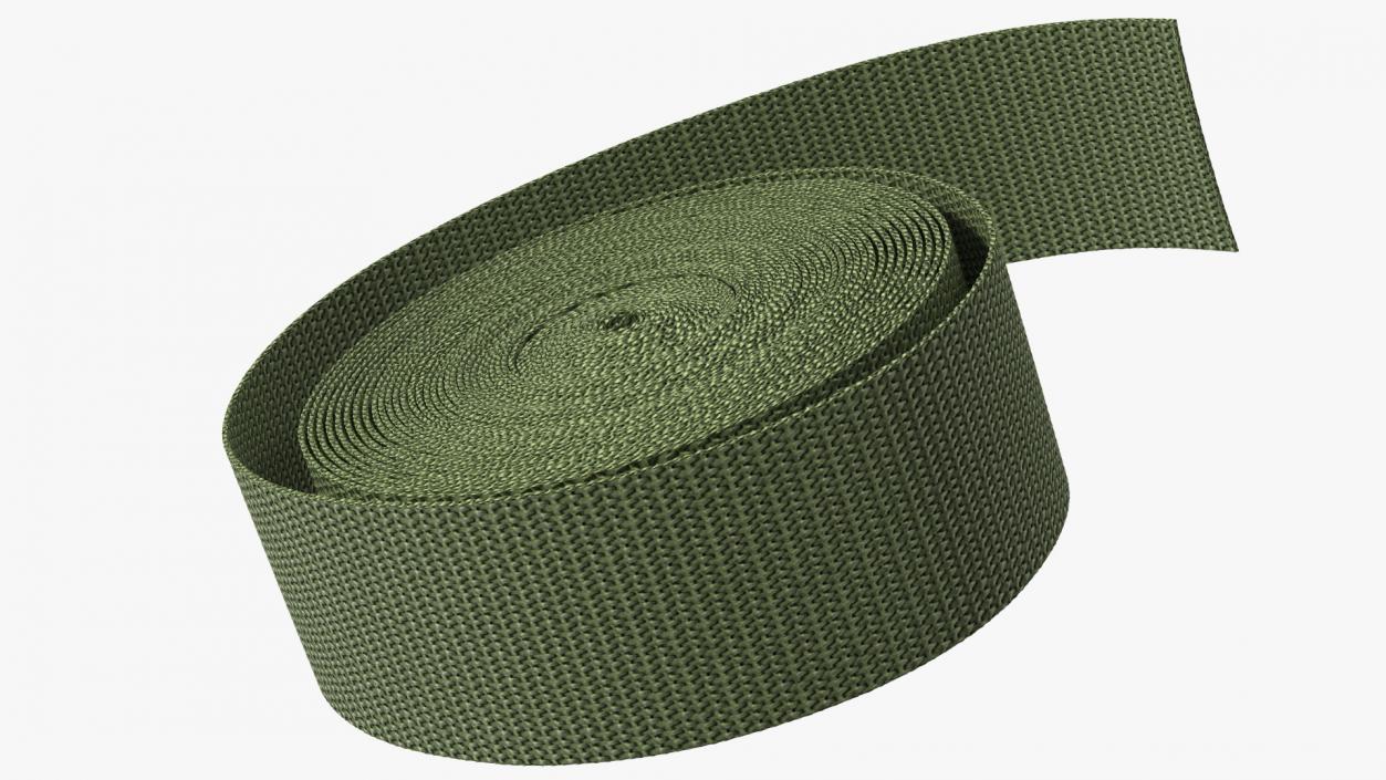 3D model Webbing Belt Strap Round Green