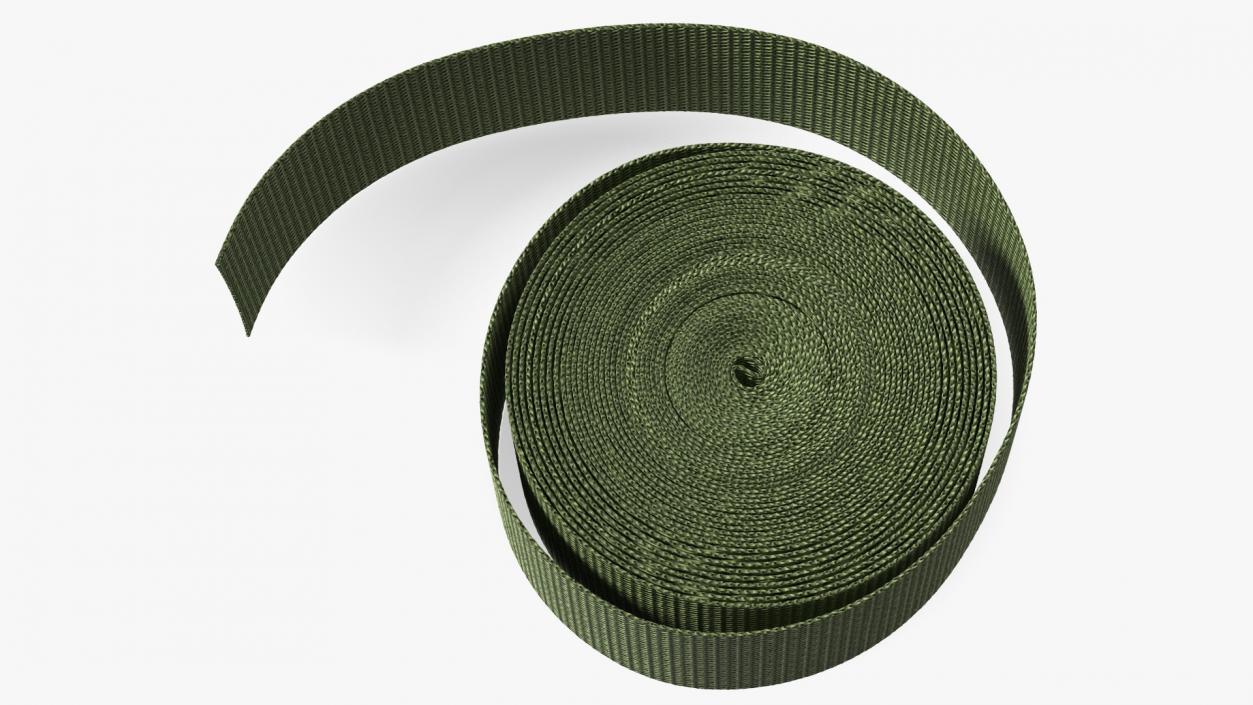 3D model Webbing Belt Strap Round Green