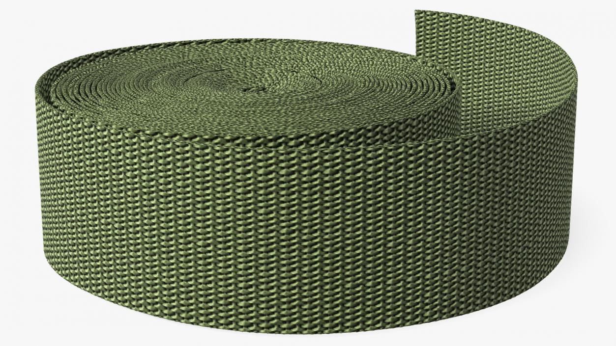 3D model Webbing Belt Strap Round Green