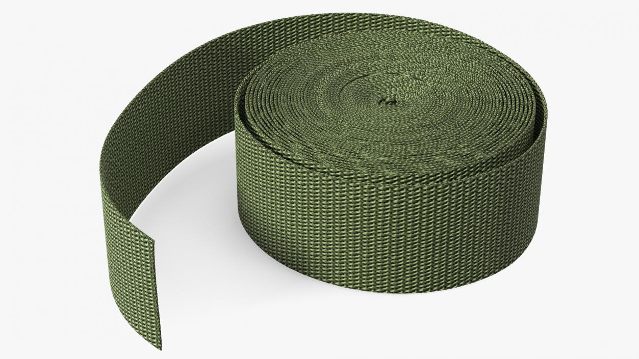 3D model Webbing Belt Strap Round Green