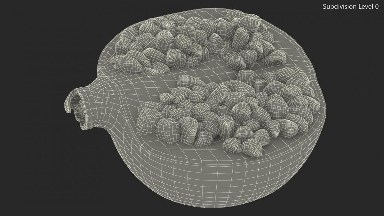 3D model Pomegranate Red Fruit Cross Section