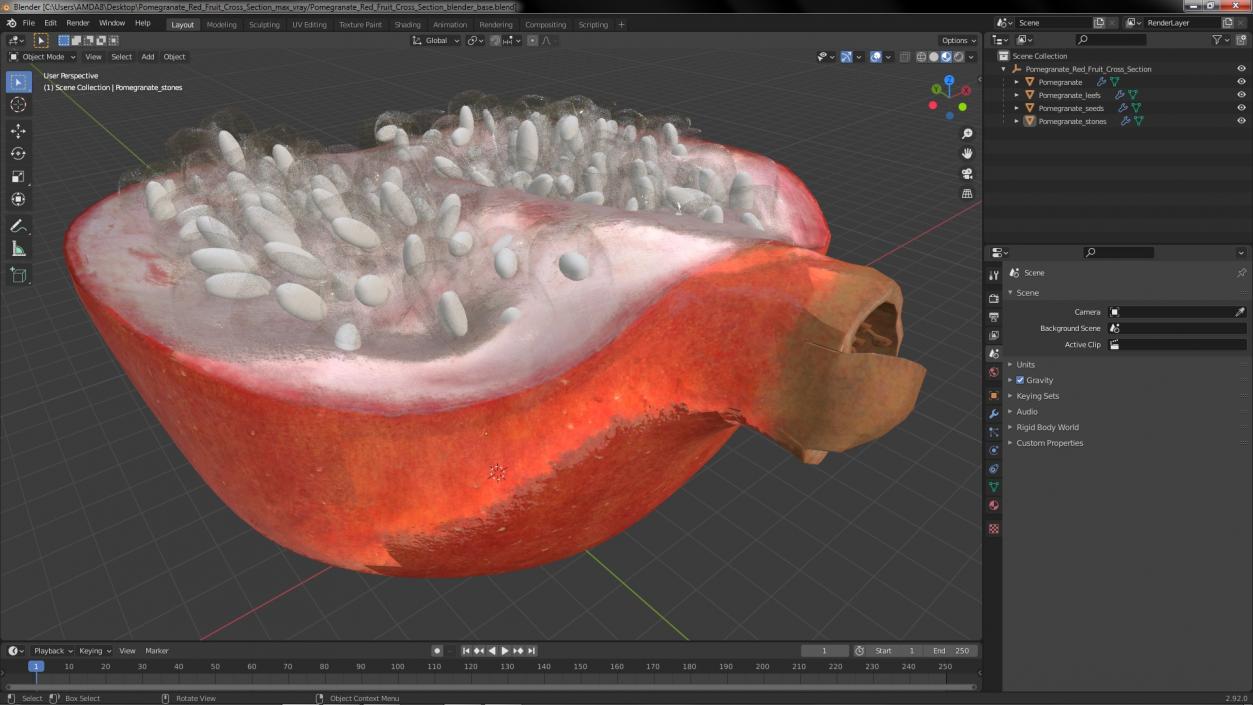 3D model Pomegranate Red Fruit Cross Section