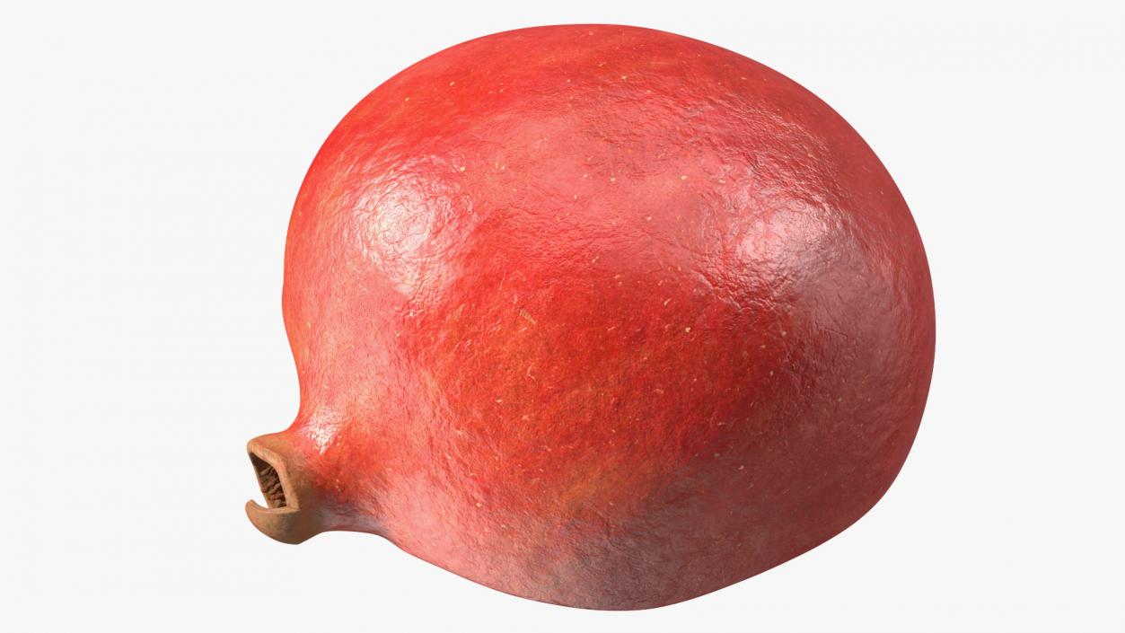 3D model Pomegranate Red Fruit Cross Section