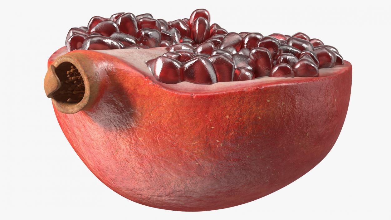 3D model Pomegranate Red Fruit Cross Section