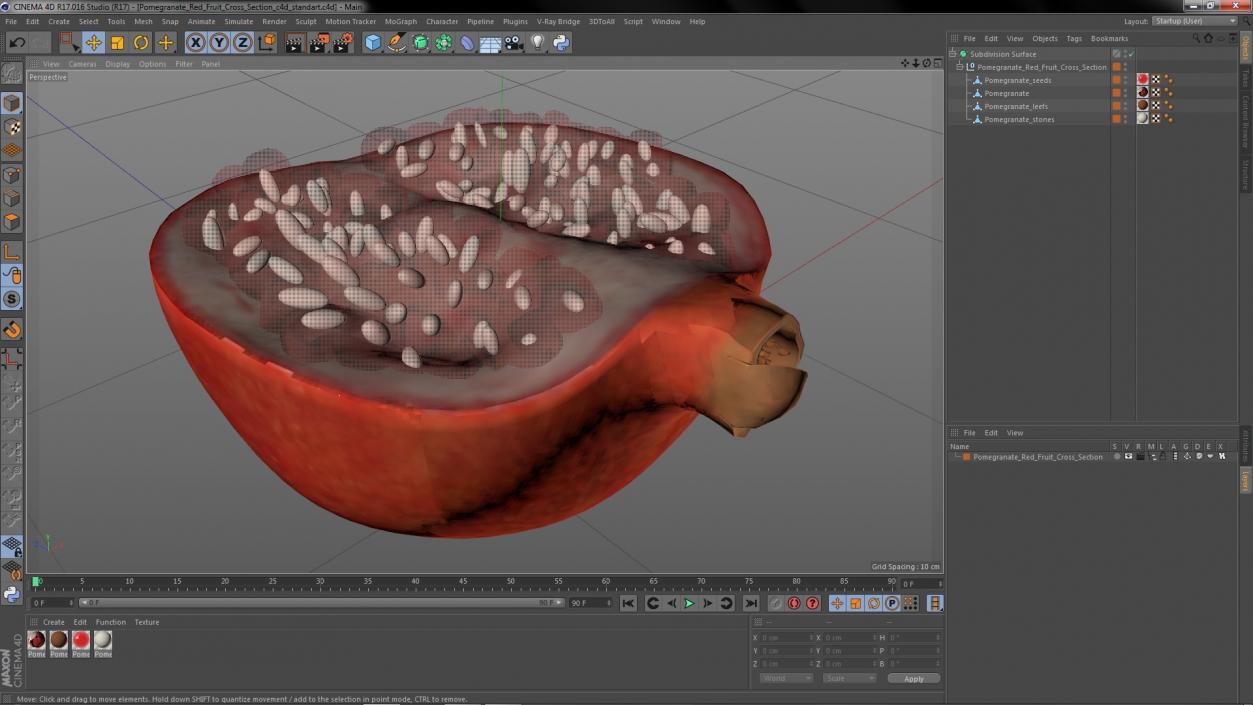 3D model Pomegranate Red Fruit Cross Section