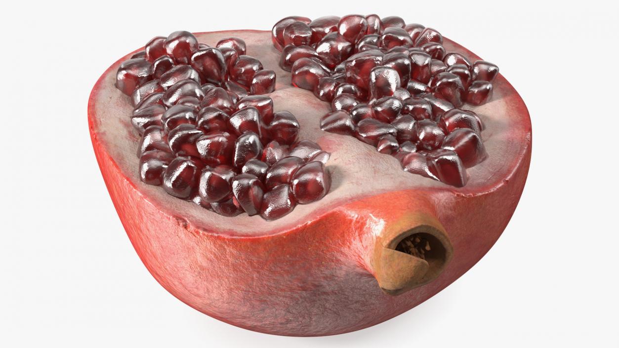 3D model Pomegranate Red Fruit Cross Section