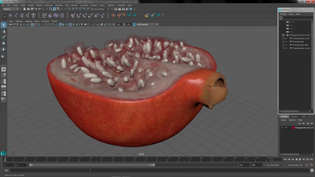 3D model Pomegranate Red Fruit Cross Section