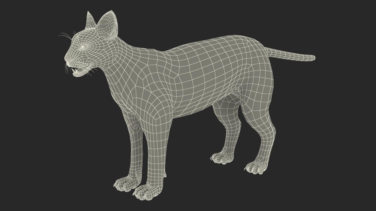 Caracal Rigged 3D model