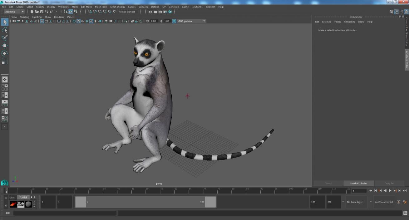 3D Lemur Catta Sitting Straight model