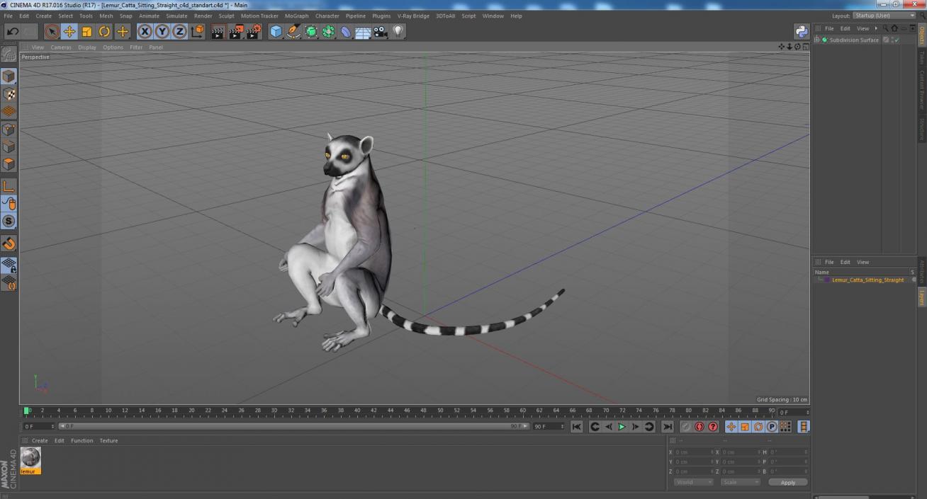 3D Lemur Catta Sitting Straight model