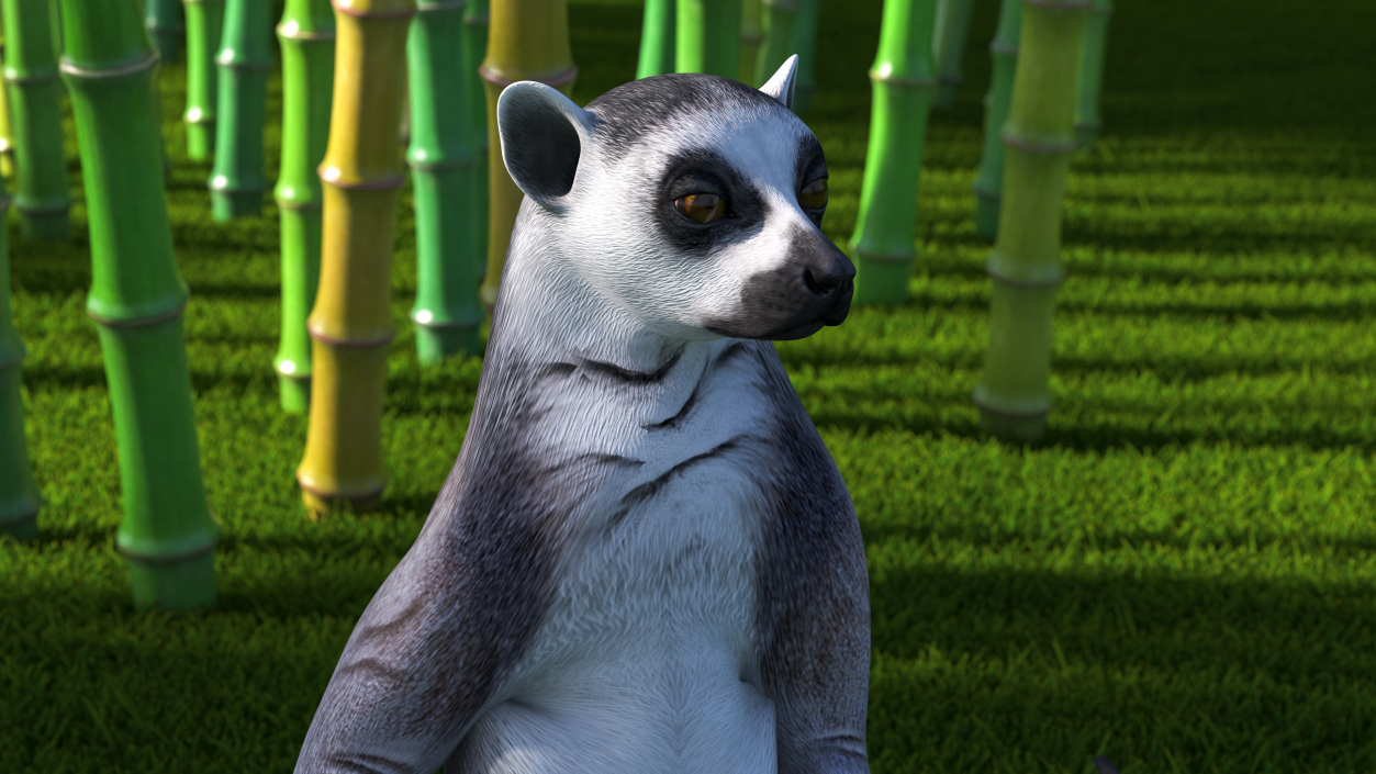 3D Lemur Catta Sitting Straight model