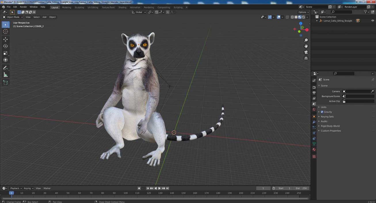 3D Lemur Catta Sitting Straight model