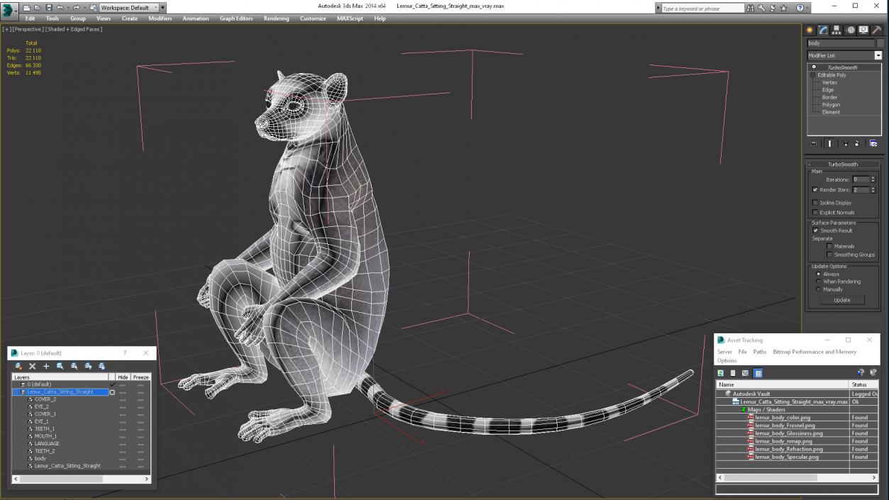 3D Lemur Catta Sitting Straight model