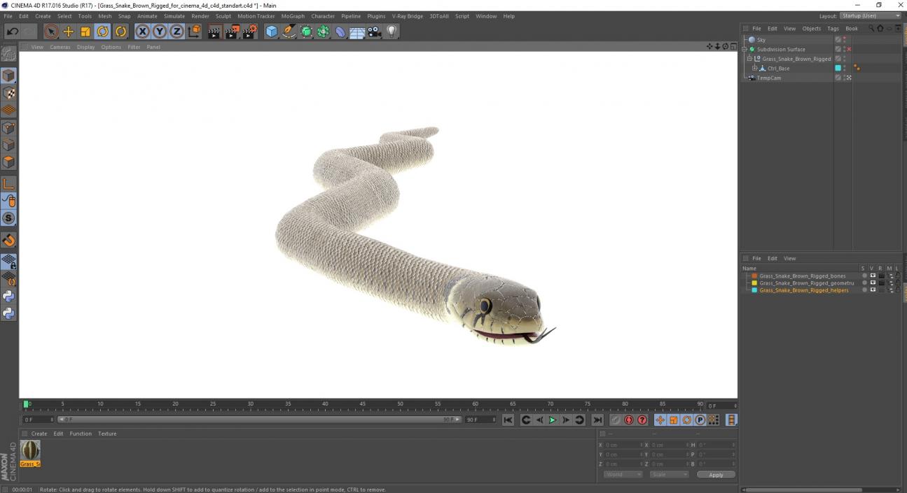 3D Grass Snake Brown Rigged for Cinema 4D model