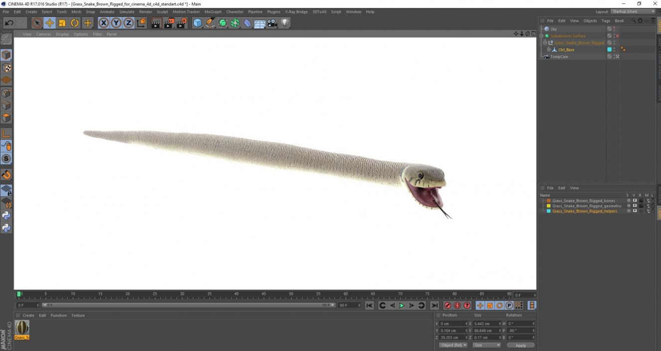 3D Grass Snake Brown Rigged for Cinema 4D model