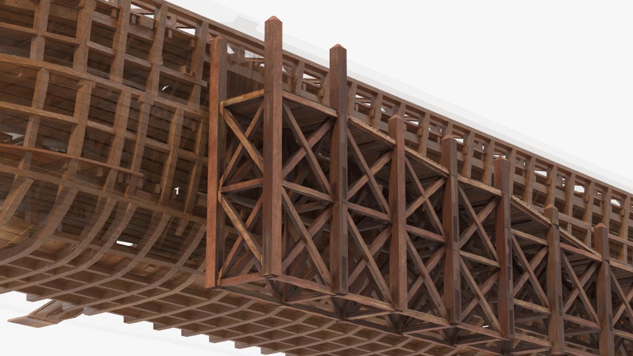 3D model Noah Ark Cross Section with transparency