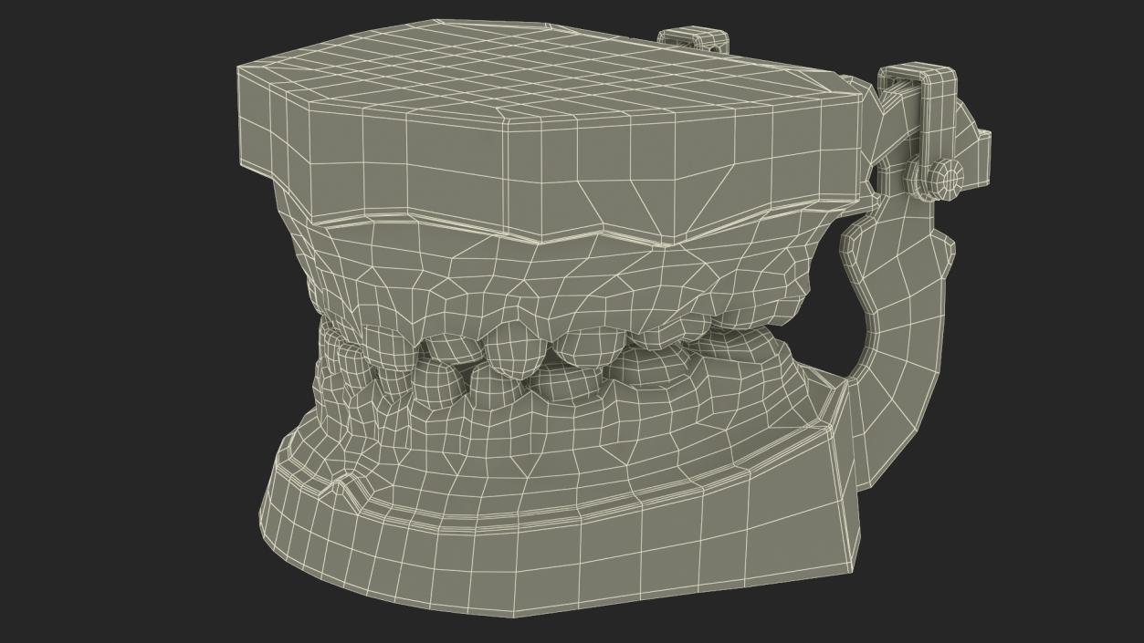 Dental Anatomy Model Simulation with Removable Crossbite Teeth 3D