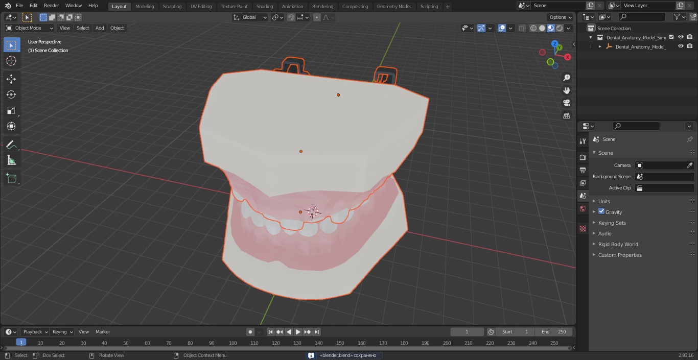 Dental Anatomy Model Simulation with Removable Crossbite Teeth 3D